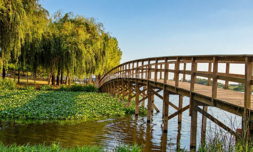 Negócio para Venda em Travassô e Óis da Ribeira Foto 15