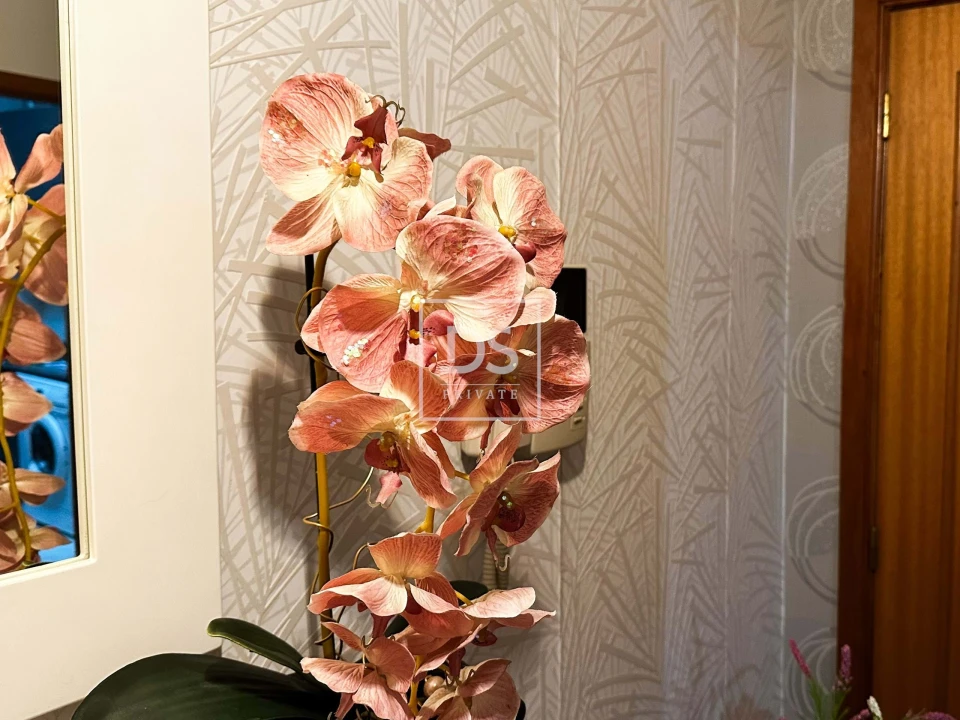 Apartamento T3 para Venda em São Marcos da Ataboeira Foto 3