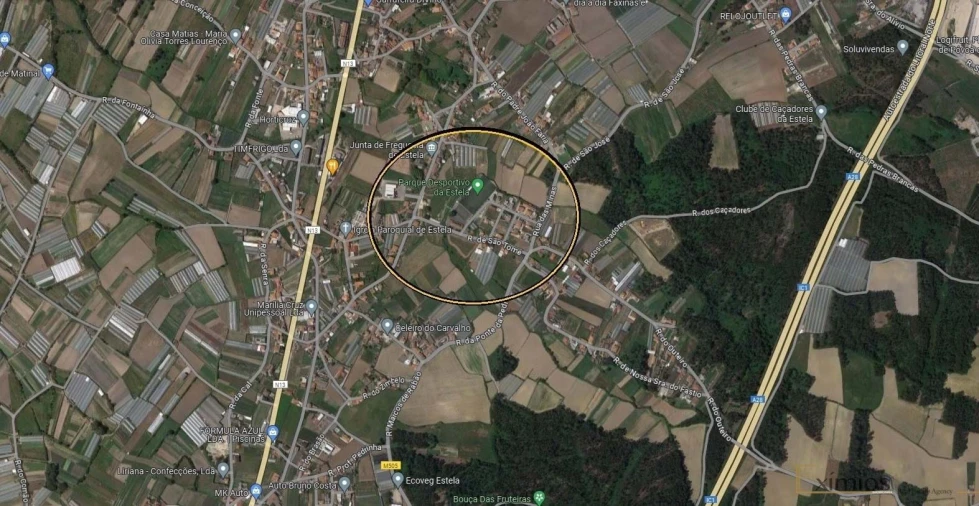 Terreno para Venda em Estela