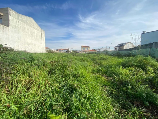 Terreno para Venda em Estela Foto 2