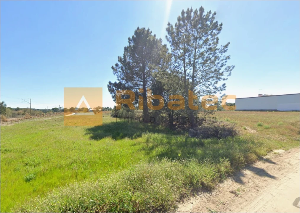 Terreno para Venda em Coruche, Fajarda e Erra Foto 3