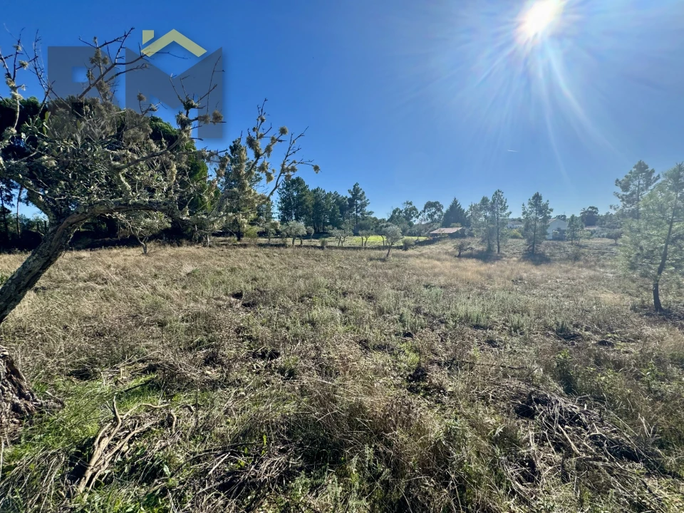 Quinta T0 para Venda em Benquerenças Foto 9
