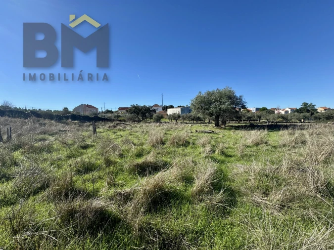 Quinta T0 para Venda em Benquerenças Foto 13