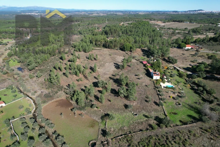 Quinta T0 para Venda em Benquerenças Foto 6