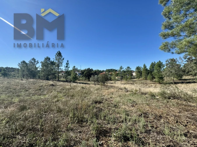 Quinta T0 para Venda em Benquerenças Foto 10