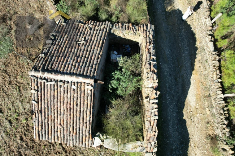Quinta T0 para Venda em Benquerenças Foto 4