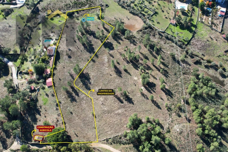 Quinta T0 para Venda em Benquerenças