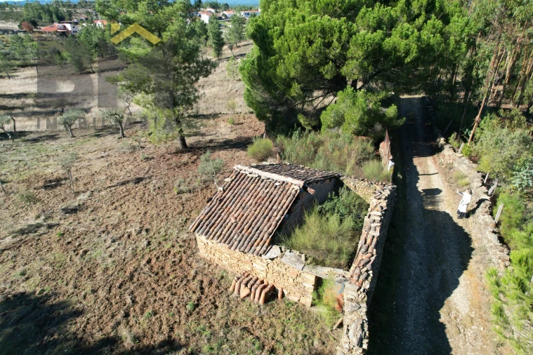 Quinta T0 para Venda em Benquerenças Foto 3