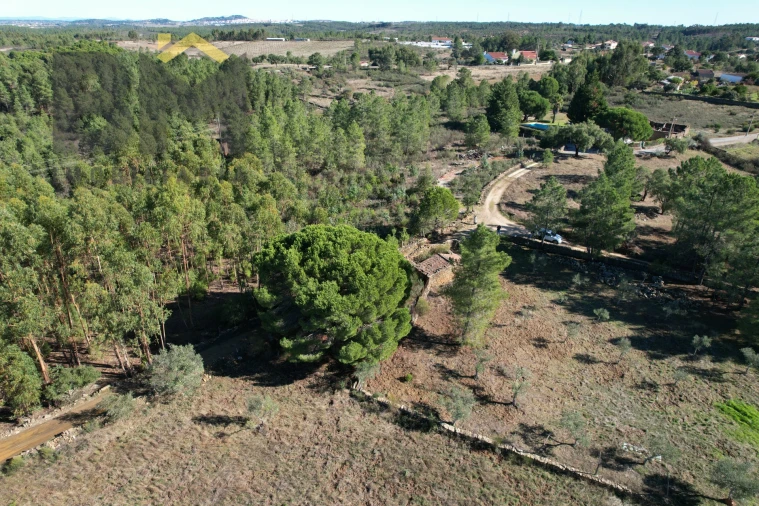Quinta T0 para Venda em Benquerenças Foto 7