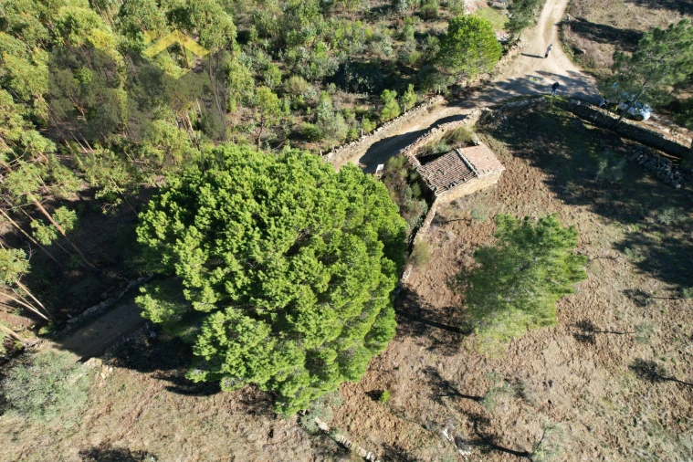 Quinta T0 para Venda em Benquerenças Foto 2