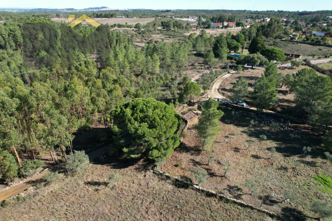 Quinta T0 para Venda em Benquerenças Foto 7