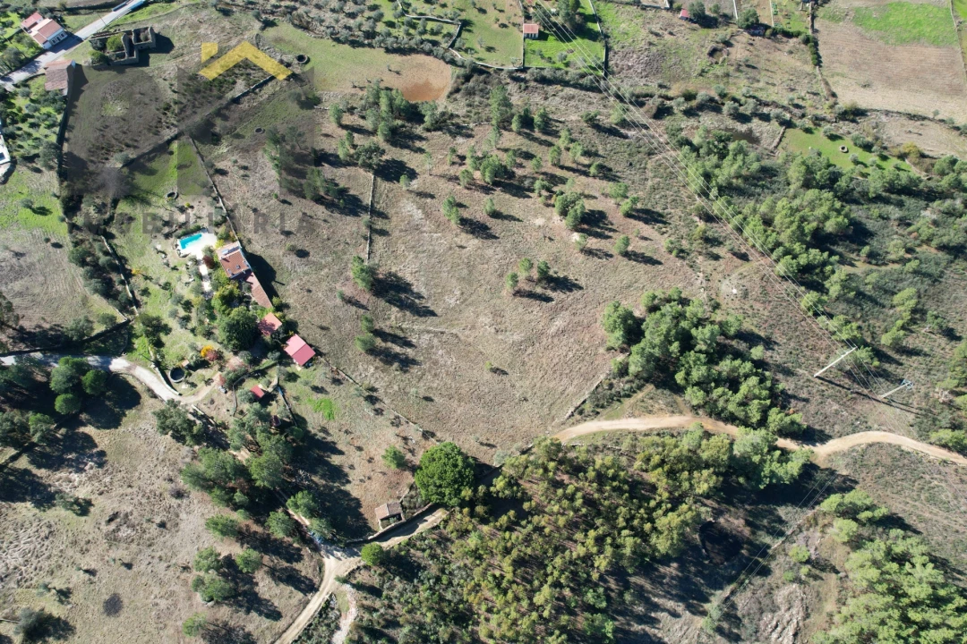 Quinta T0 para Venda em Benquerenças Foto 5