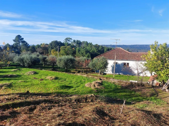 Moradia T3 para Venda em Antas e Matela Foto 25