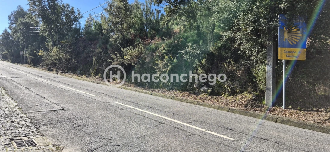 Terreno para Venda em Pereira Foto 1