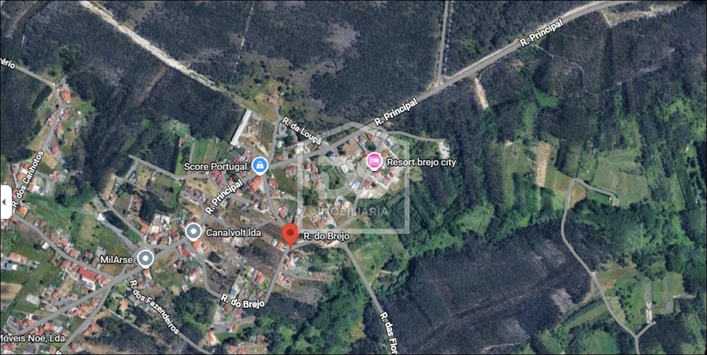 Terreno Agricola ou Rústico para Venda em Amor Foto 2