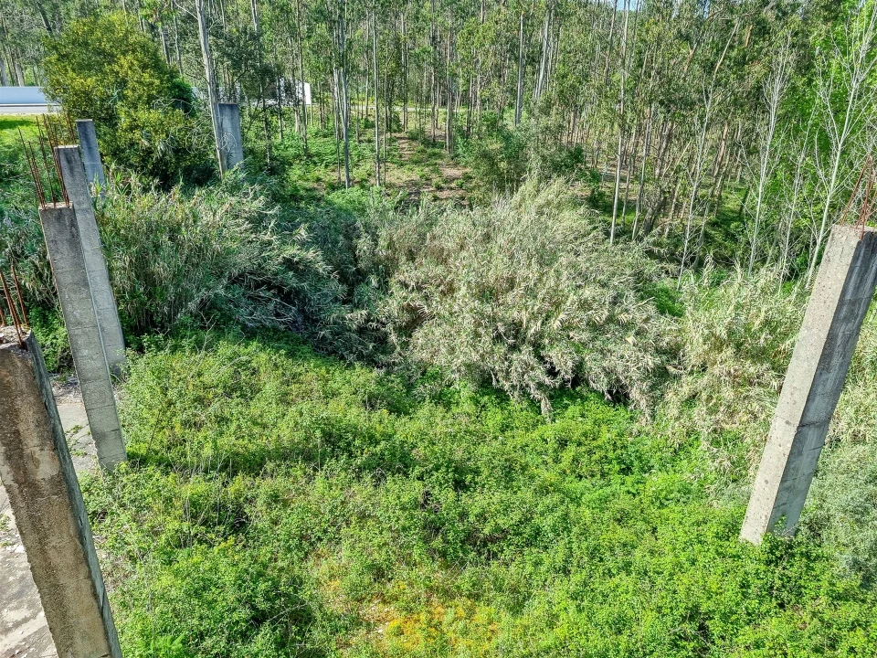 Armazém para Venda em Maceira Foto 16