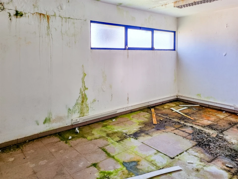 Armazém para Venda em Maceira Foto 29