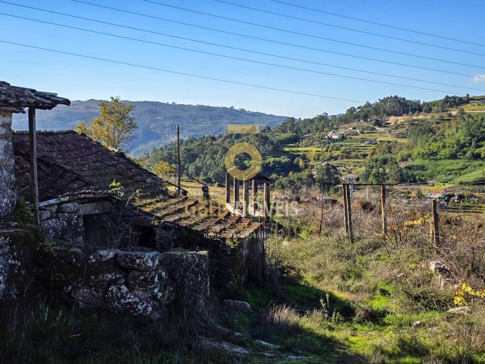 Quinta T0 para Venda em Grilo Foto 11