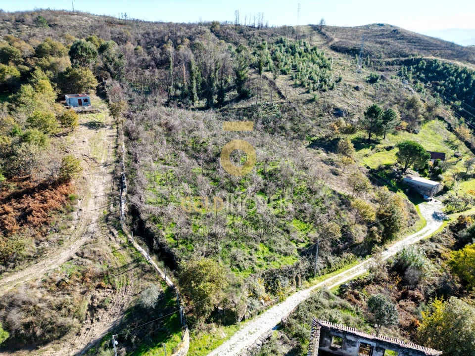 Terreno Agricola ou Rústico para Venda em Grilo Foto 1