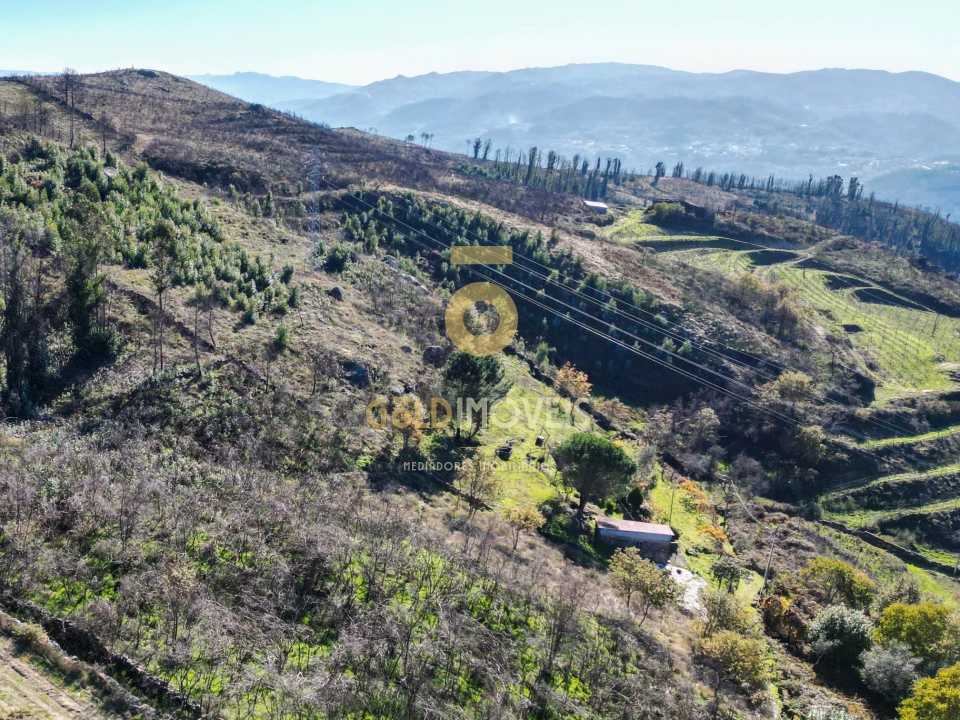 Terreno Agricola ou Rústico para Venda em Grilo Foto 5