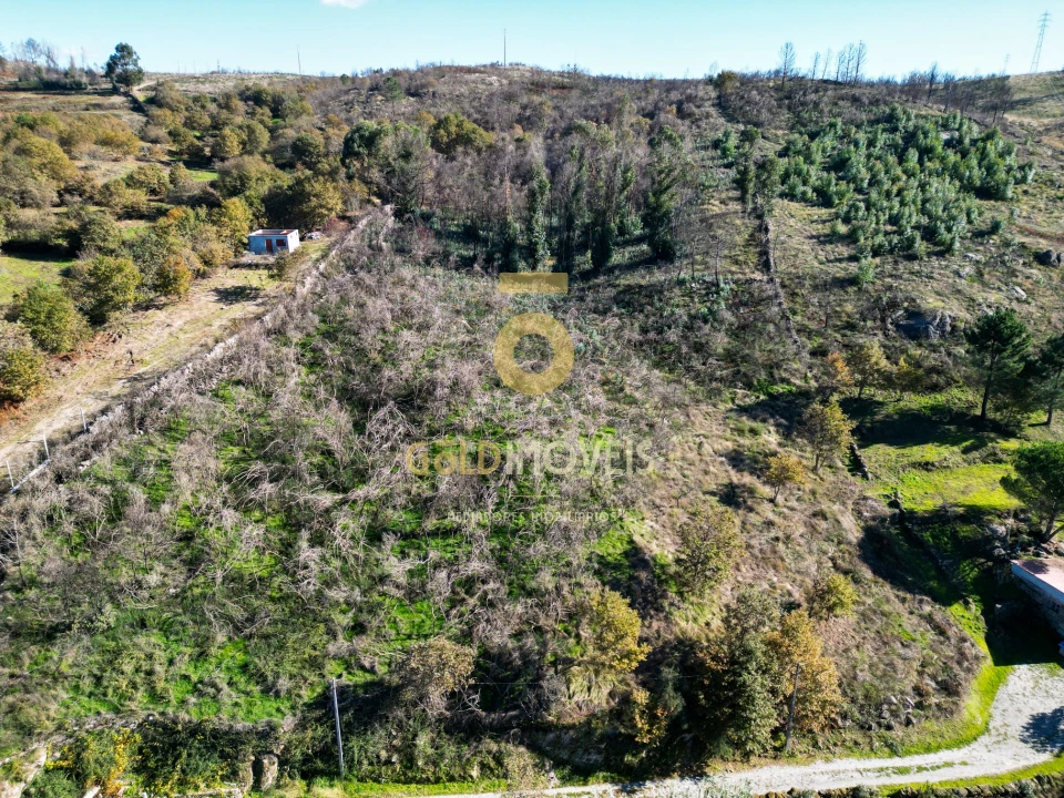 Terreno Agricola ou Rústico para Venda em Grilo Foto 2