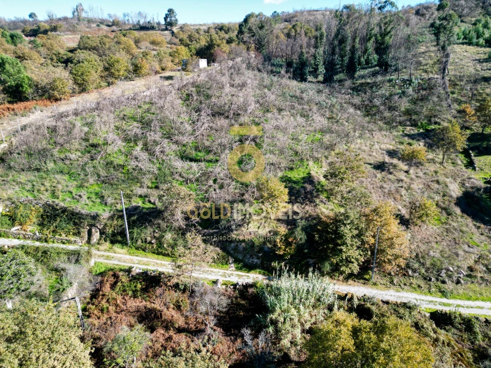 Terreno Agricola ou Rústico para Venda em Grilo Foto 3