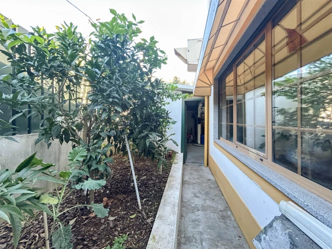 Prédio para Venda em Sobreira Formosa e Alvito da Beira Foto 69