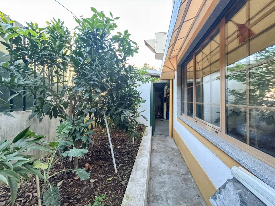 Prédio para Venda em Sobreira Formosa e Alvito da Beira Foto 69