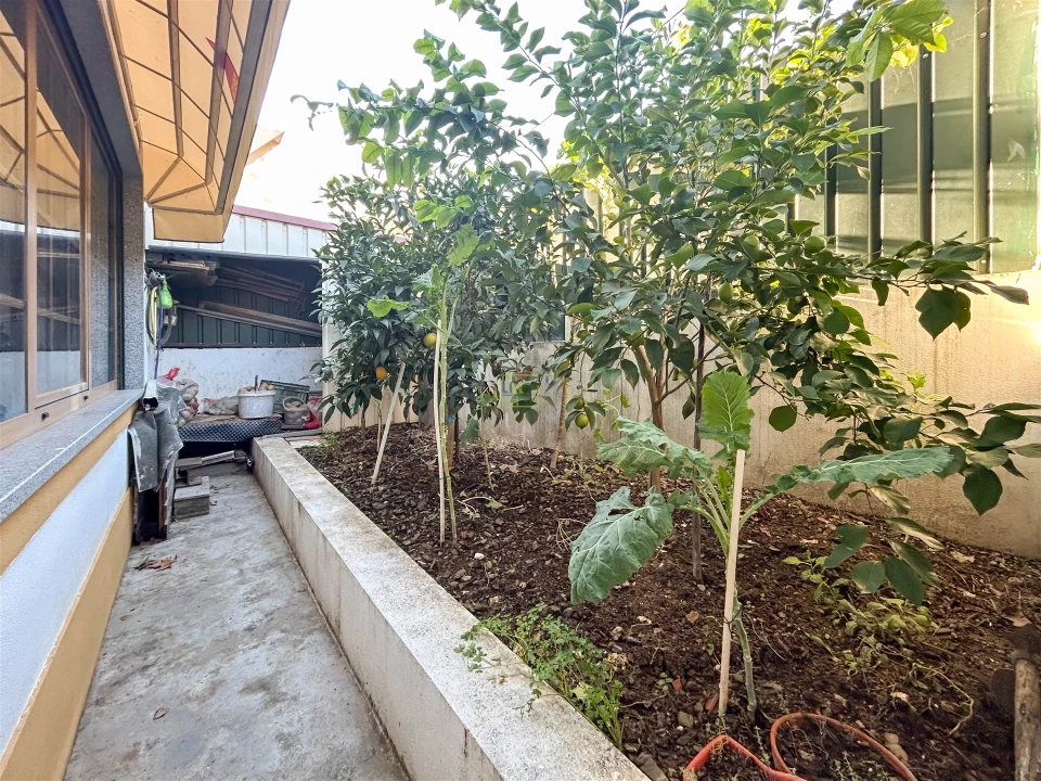 Prédio para Venda em Sobreira Formosa e Alvito da Beira Foto 70