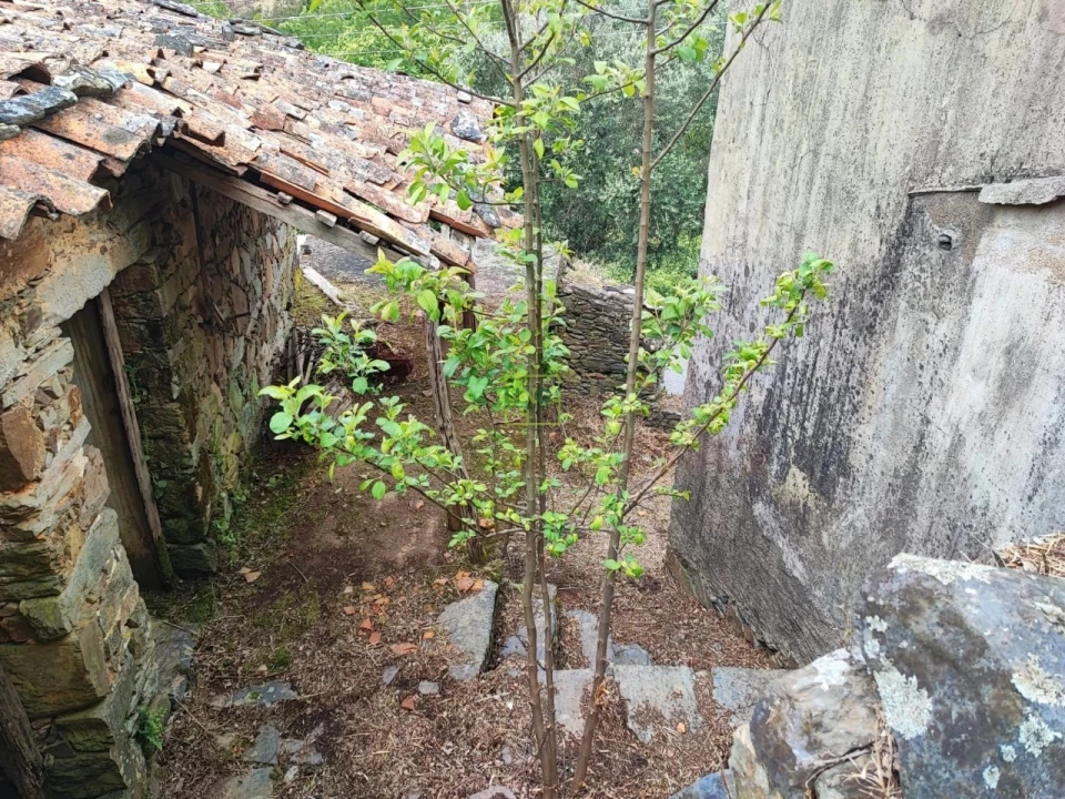 Moradia T8 para Venda em Sobreira Formosa e Alvito da Beira Foto 6