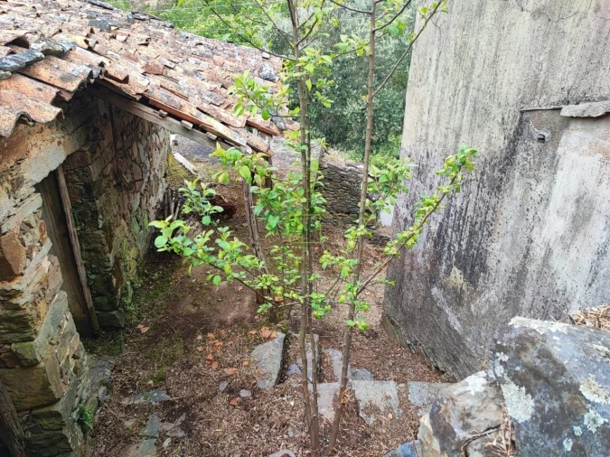 Moradia T8 para Venda em Sobreira Formosa e Alvito da Beira Foto 6