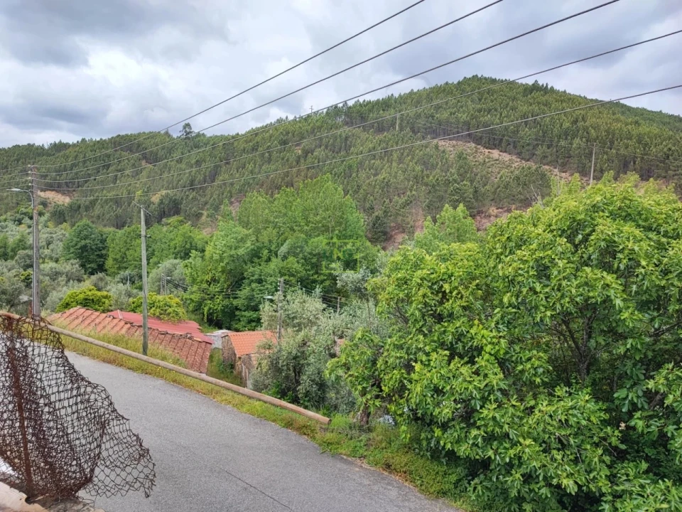 Moradia T8 para Venda em Sobreira Formosa e Alvito da Beira Foto 7