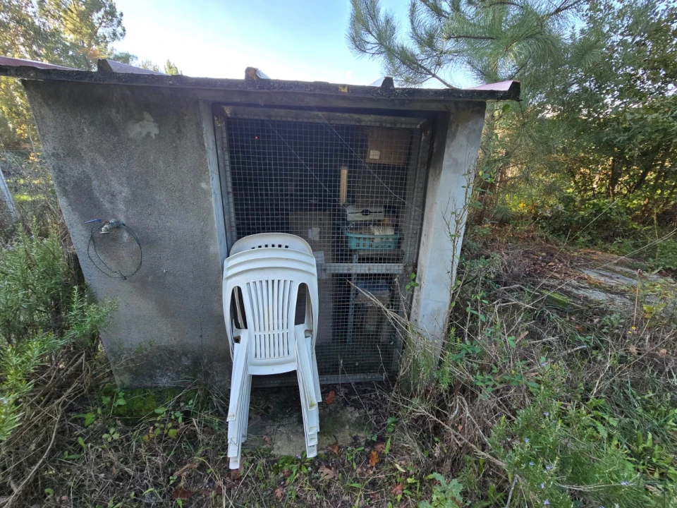 Quinta T1 para Venda em Santa Comba Dão e Couto do Mosteiro Foto 25