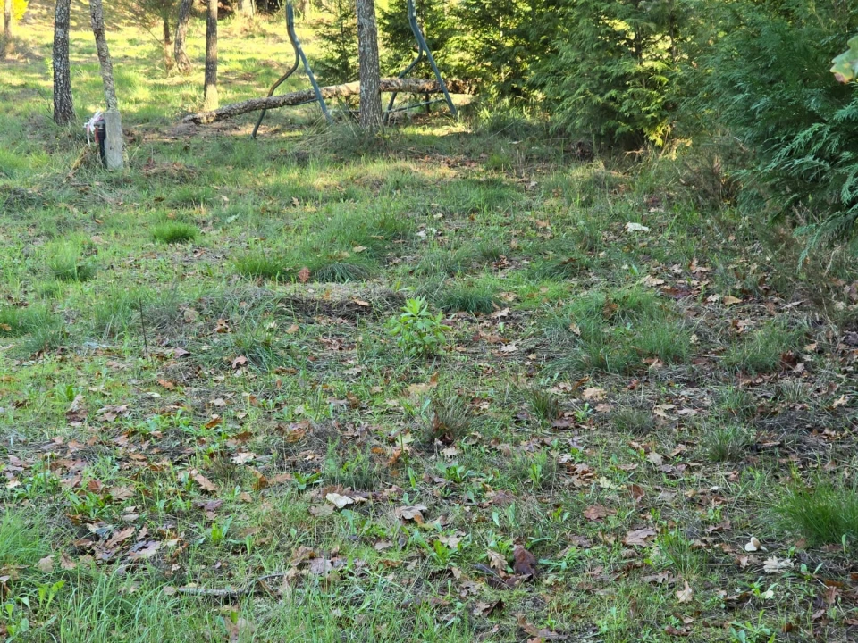Quinta T1 para Venda em Santa Comba Dão e Couto do Mosteiro Foto 22