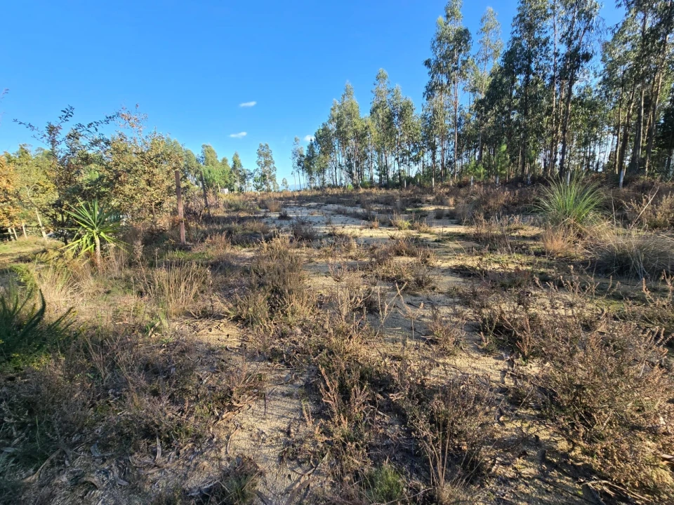 Quinta T1 para Venda em Santa Comba Dão e Couto do Mosteiro Foto 28