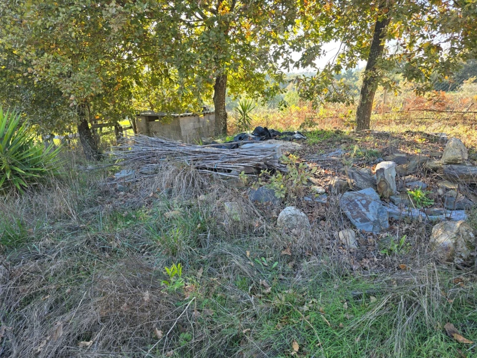 Quinta T1 para Venda em Santa Comba Dão e Couto do Mosteiro Foto 15