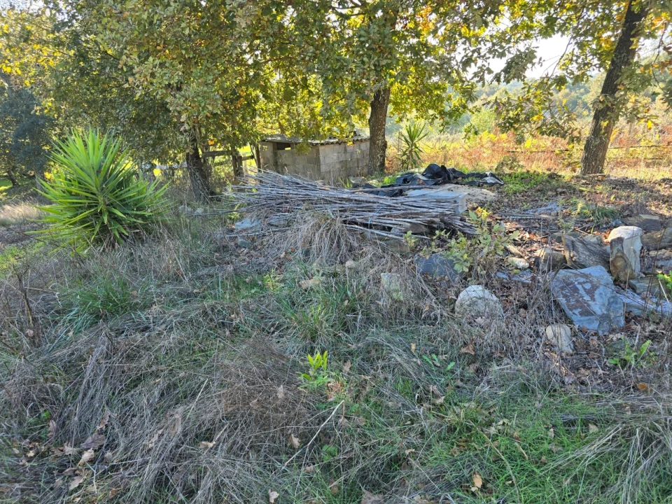 Quinta T1 para Venda em Santa Comba Dão e Couto do Mosteiro Foto 14