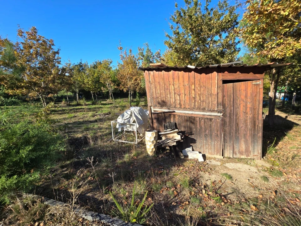 Quinta T1 para Venda em Santa Comba Dão e Couto do Mosteiro Foto 32