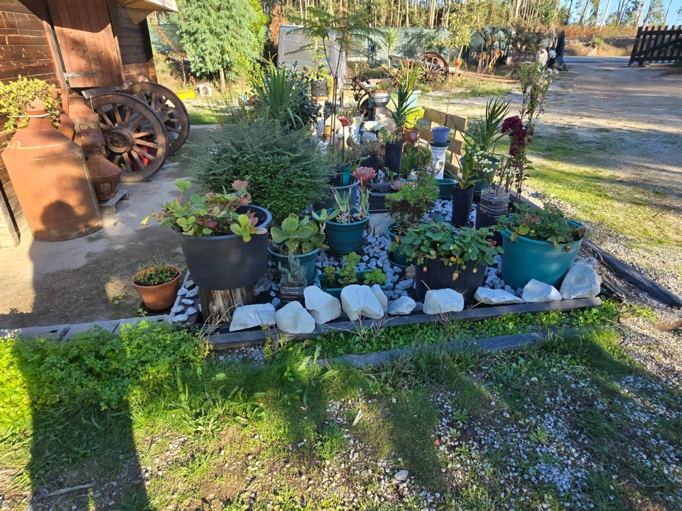 Quinta T1 para Venda em Santa Comba Dão e Couto do Mosteiro Foto 1