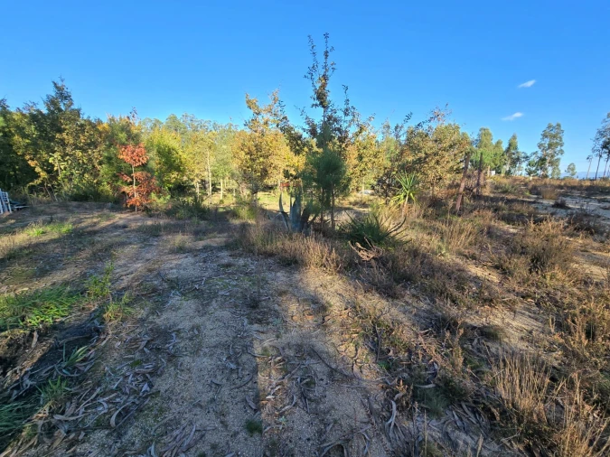 Quinta T1 para Venda em Santa Comba Dão e Couto do Mosteiro Foto 30