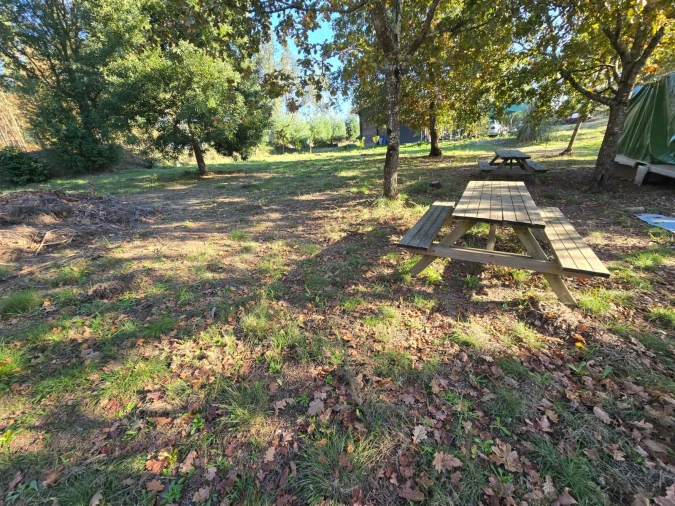 Quinta T1 para Venda em Santa Comba Dão e Couto do Mosteiro Foto 11