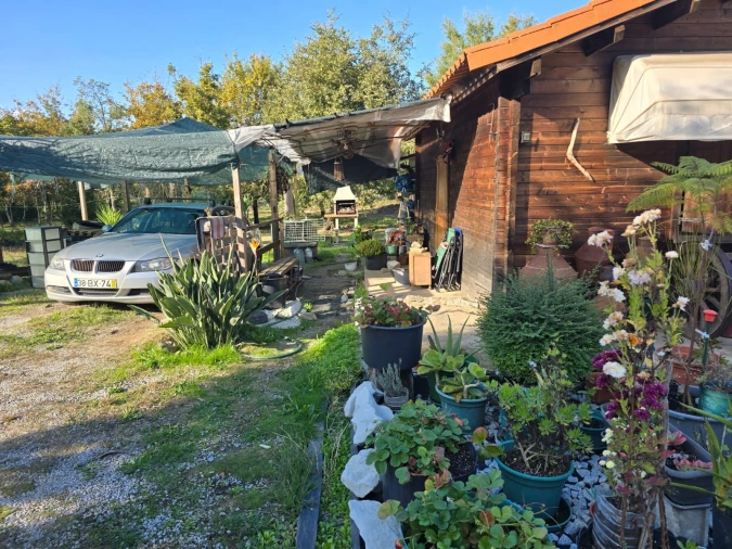 Quinta T1 para Venda em Santa Comba Dão e Couto do Mosteiro Foto 40