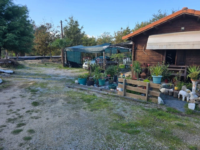 Quinta T1 para Venda em Santa Comba Dão e Couto do Mosteiro Foto 41