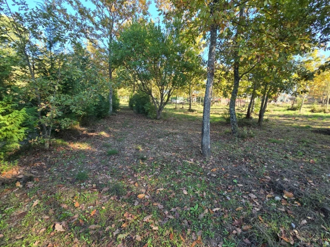 Quinta T1 para Venda em Santa Comba Dão e Couto do Mosteiro Foto 24