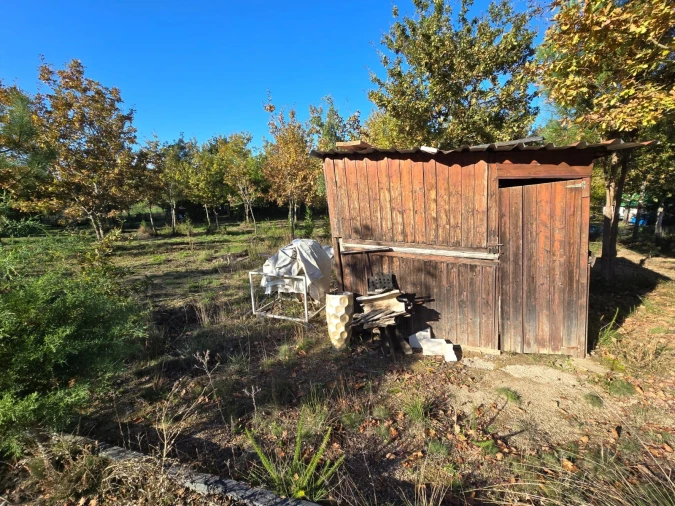 Quinta T1 para Venda em Santa Comba Dão e Couto do Mosteiro Foto 32