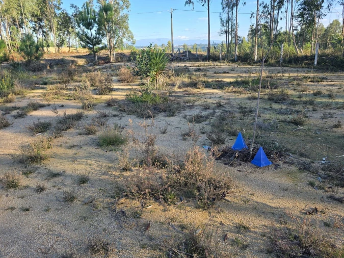 Quinta T1 para Venda em Santa Comba Dão e Couto do Mosteiro Foto 4