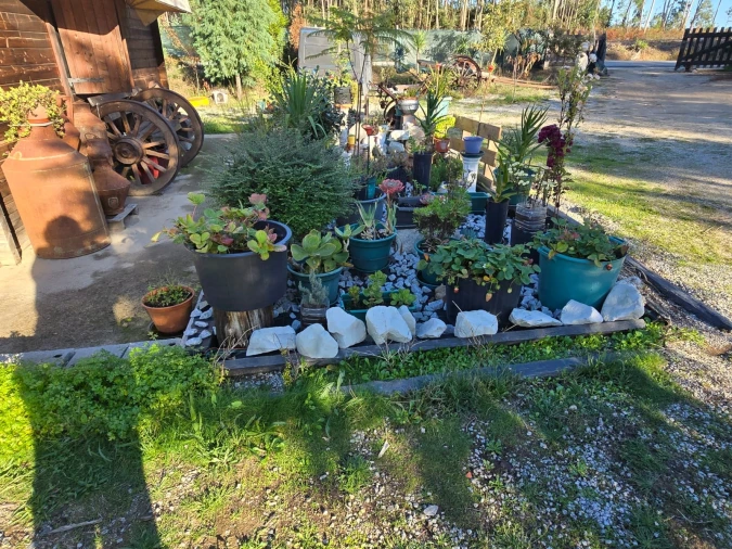 Quinta T1 para Venda em Santa Comba Dão e Couto do Mosteiro Foto 1