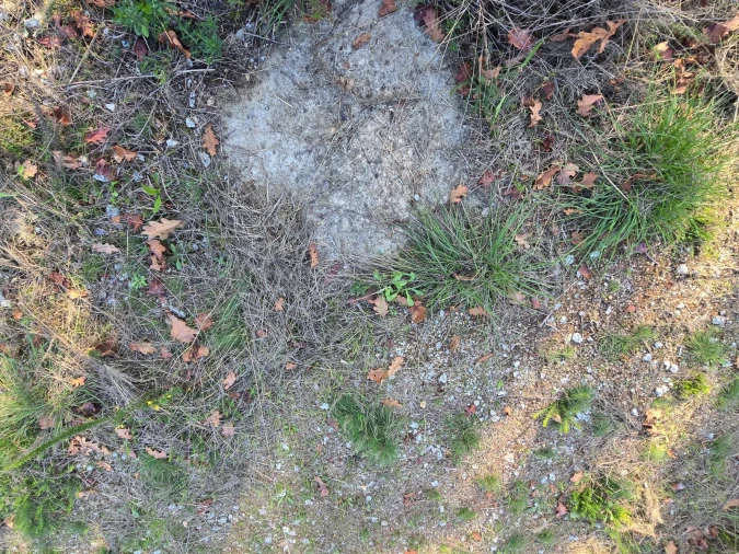 Quinta T1 para Venda em Santa Comba Dão e Couto do Mosteiro Foto 18