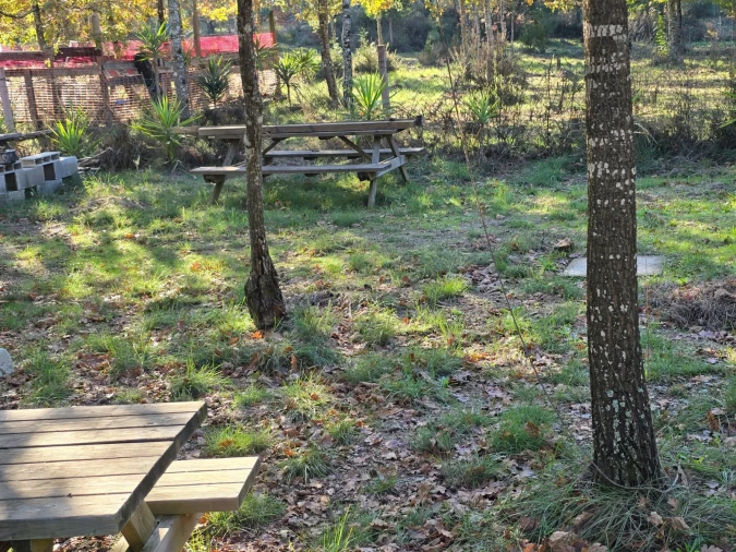 Quinta T1 para Venda em Santa Comba Dão e Couto do Mosteiro Foto 12