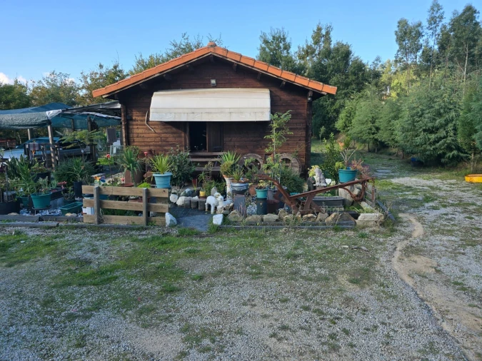 Quinta T1 para Venda em Santa Comba Dão e Couto do Mosteiro Foto 42
